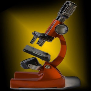 Medical Laboratory Technology - Fall '07