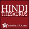 Hindi: A Spoken Thesaurus artwork
