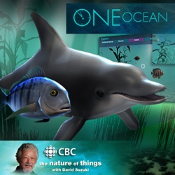 One Ocean - Ted Daeschler