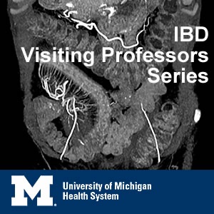 IBD Visiting Professors Series cover