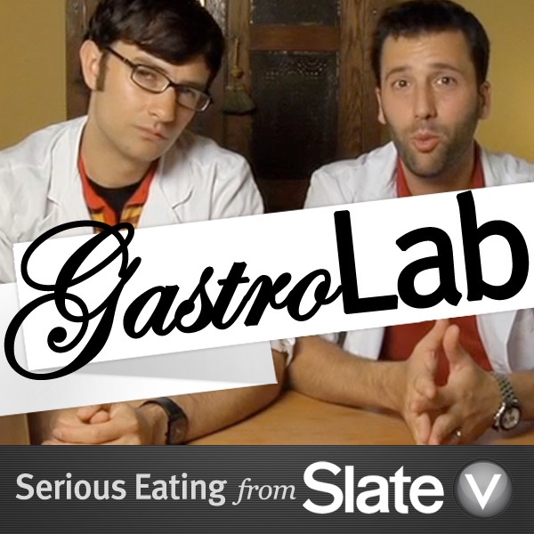 GastroLab from Slate V Artwork