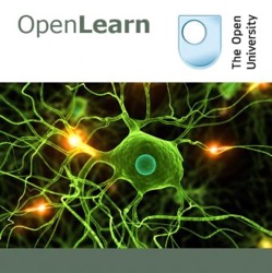 Addiction and neural ageing - for iBooks