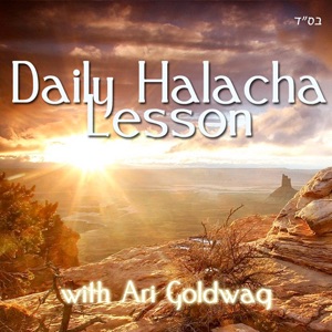 Daily Halacha Lesson with Ari Goldwag Artwork