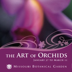 8# – Where can orchids be seen throughout the year at the Garden?