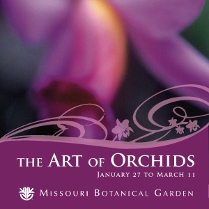 Missouri Botanical Garden Orchid Show 2007 Artwork