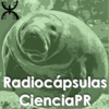 Radiocápsulas Ciencia Puerto Rico artwork