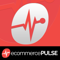 Ecommerce Pulse