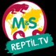 Reptil.TV