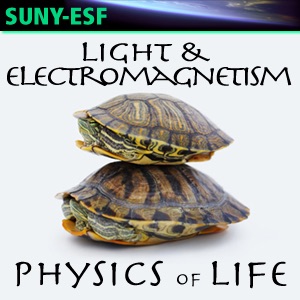 Light & Electromagnetism - Physics of Life