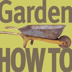 Garden How-To :: Episode 14: Vines and Climbers in the Garden