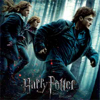 Prepare for Harry Potter and the Deathly Hallows - Part 1 - Warner Bros. Digital Distribution