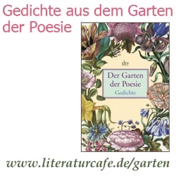 Rainer Maria Rilke: Rosa Hortensie
