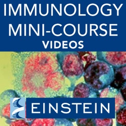 Immunology Course in South Africa, 5 of 14