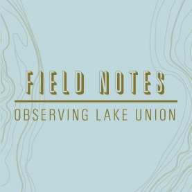 Field Notes: Observing Lake Union Artwork