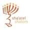 Sha'arei Shalom Weekly Drash
