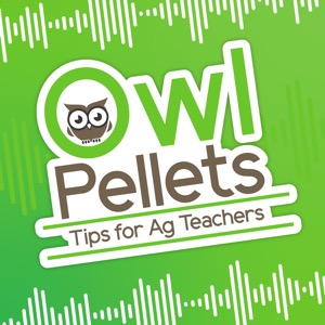 Owl Pellets: Tips for Ag Teachers