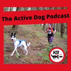 Episode 3: What makes the best canicross dog