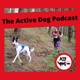 Episode 17: Canicross with a deaf dog