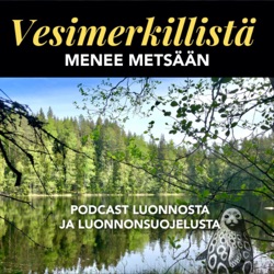 2.2 Vesimerkillistä menee kankaalle