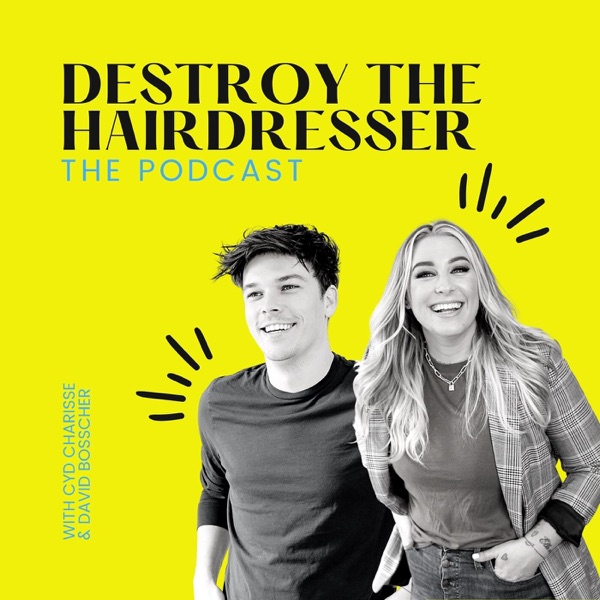 Destroy The Hairdresser