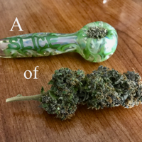 A Slice of Cannabis w/ Rhizo Rich 🦏