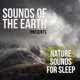 Sounds of the earth - natural relaxing sounds 