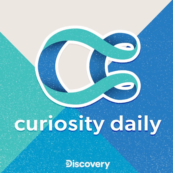 Curiosity Daily banner backdrop