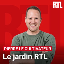 Profitons de la pluie pour jardiner !