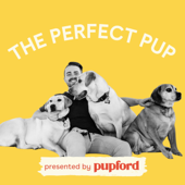 The Perfect Pup - Devin Stagg from Pupford