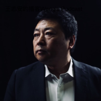 王志安的播客Wang’s Podcast podcast