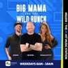 Big Mama and The Wild Bunch Podcast