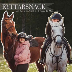 Ryttarsnack