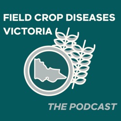 The risk of stripe rust in 2023