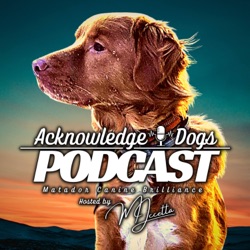 The Nuances of Dog Training: Episode 156