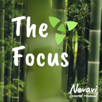 The Focus Episode 20: Shane Hastie Interview