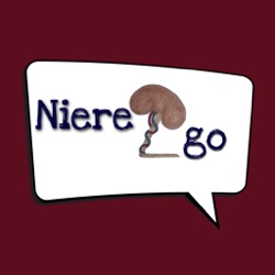 Niere2go