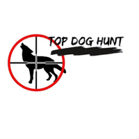 TDHP # 60 Jon Collins // FOXPRO