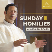 Sunday Homilies with Fr. Mike Schmitz podcast