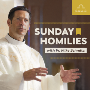 Sunday Homilies with Fr. Mike Schmitz podcast
