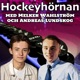 Hockeyhörnan avslöjar: HV:s kontakt med tidigare NHL-forwarden