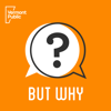 But Why: A Podcast for Curious Kids - Vermont Public