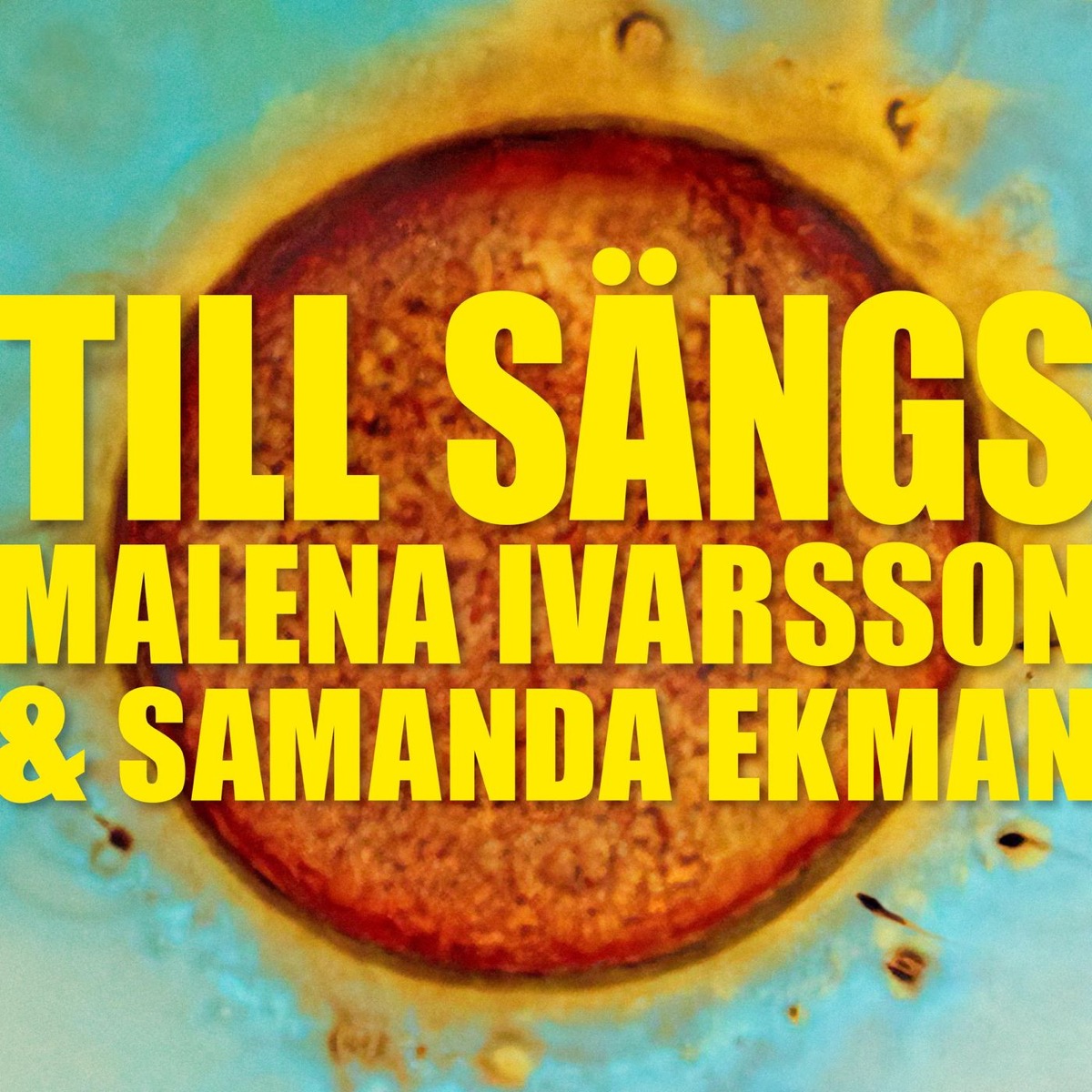 Till Sängs | Lyssna här | Poddtoppen.se