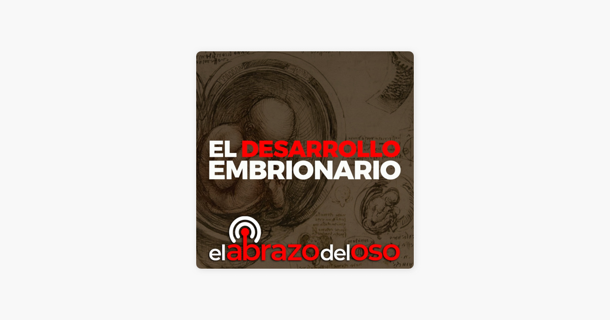 ‎el Abrazo Del Oso Podcast El Desarrollo Embrionario El Abrazo Del Oso En Apple Podcasts 8630