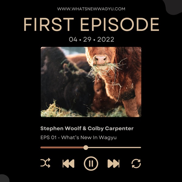 The Wagyu Podcast