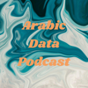 Arabic Data Podcast - Kareem Abdelsalam