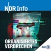 Organisiertes Verbrechen - Recherchen im Verborgenen