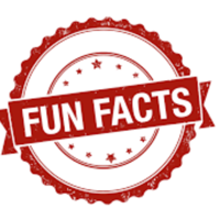 Fun Fact Friday podcast