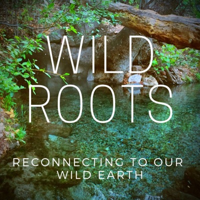 WILD ROOTS WILD ROOTS