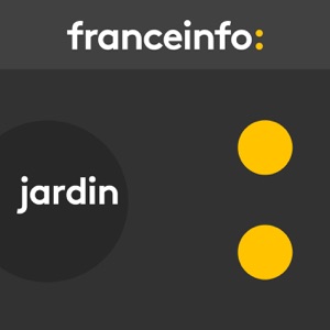 Jardin. Trois plantes pour une jardinière belle toute l'année
