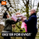 Eks\'er for evigt Eks\'er for evigt